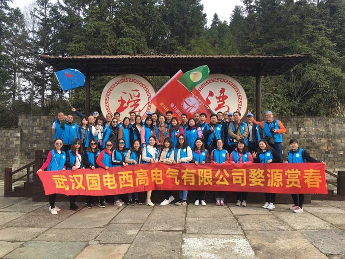 国电西高邂逅最美的春天——婺源赏花之旅