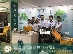 国电西高参展2019亚洲电力电工暨智能电网展