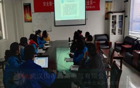 国电西高受邀为湖北照章电力提供调试服务