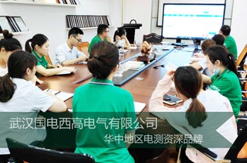 国电西高周三培训之SF6测试仪选型培训会