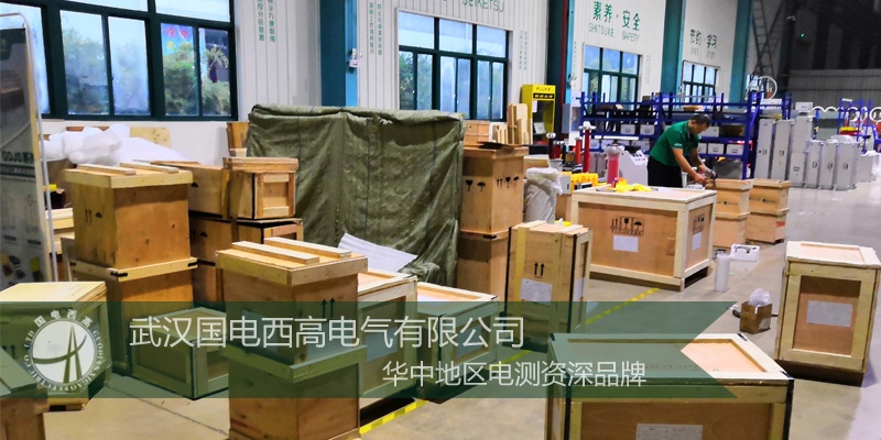 国电西高携手河南鼎力 助力马岛试验项目建设