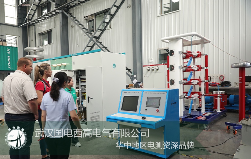 海外来访 |南非客户莅临我司考察设备技术交流