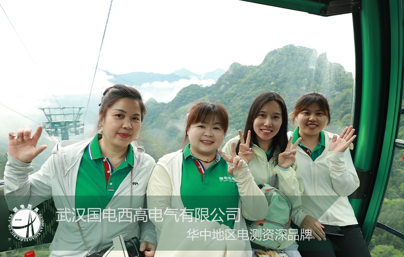 国电西高